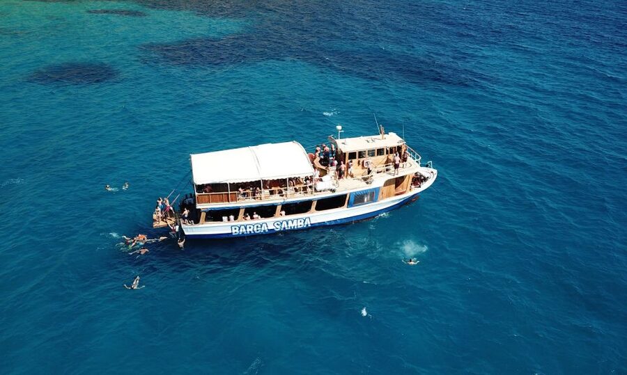 Palma de Mallorca: Palma Bay Boat Tour with Snorkeling - Practical tips for a smoother day