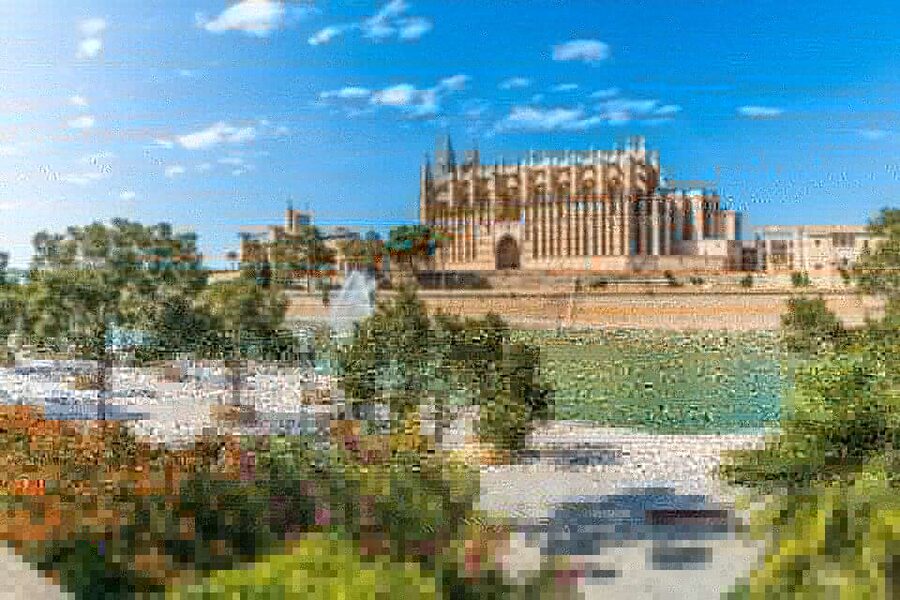 Palma de Mallorca: Private Custom Tour with a Local Guide - Mercat de l’Olivar and a taste of local life