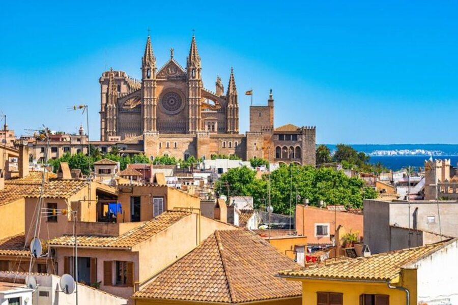 Palma de Mallorca: Private Custom Tour with a Local Guide - Timing, tickets, and the real cost at $53