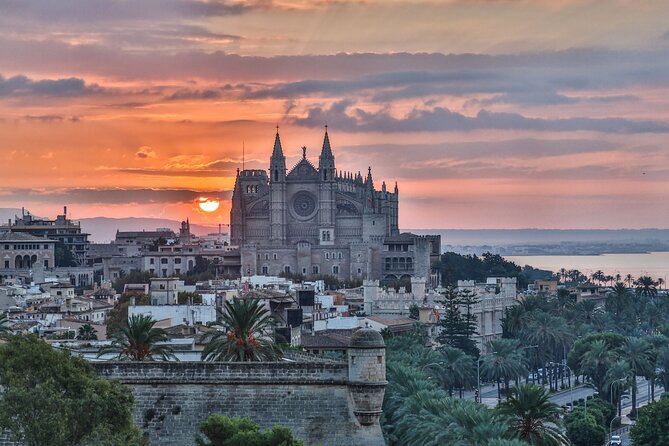Palma de Mallorca : Private Custom Walking Tour with A Guide - Plaça de Cort starts you in the civic heart of Palma