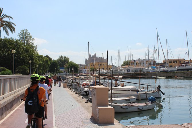 Palma de Mallorca Shore Excursion Bike Tour (Transfer Included) - Almudaina Palace links Islamic and royal Palma