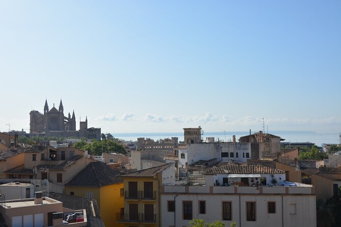 Palma de Mallorca Shore Excursion Bike Tour (Transfer Included) - Es Baluard gives you Palma from above