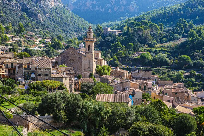 Palma de Mallorca Shore Excursion: Private Tour of Valldemossa, Soller and Serra de Tramuntana - The guide can shape the whole day