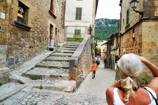 Palma de Mallorca Shore Excursion: Private Tour of Valldemossa, Soller and Serra de Tramuntana - My call: a strong private choice with a high price