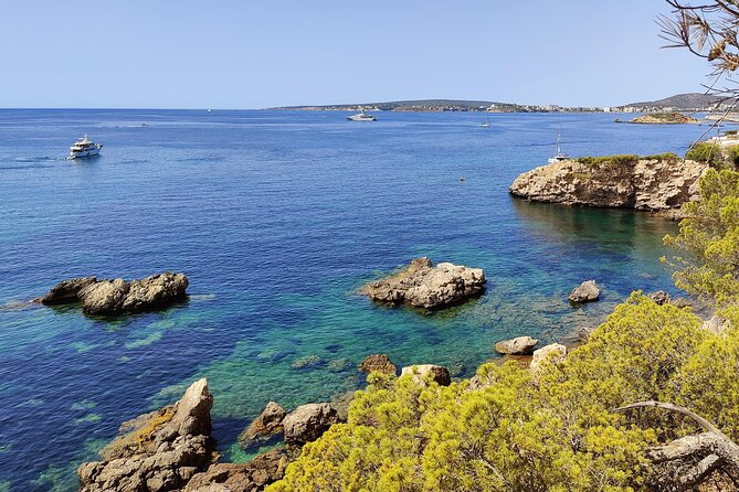 Palma de Mallorca: Small Group Tour by Locals in Hidden Coves - Key points to know before booking