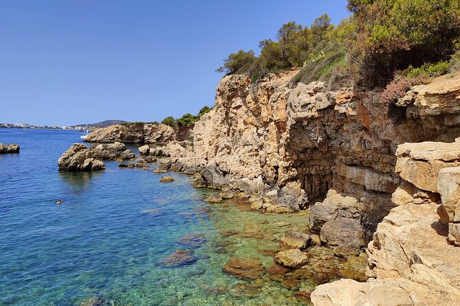 Palma de Mallorca: Small Group Tour by Locals in Hidden Coves - Ses Illetes: 90 minutes in the water