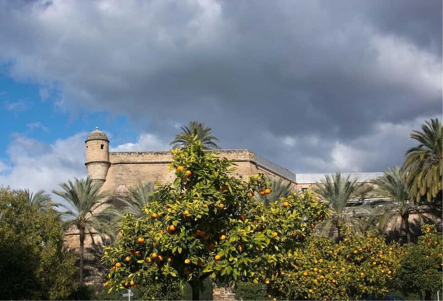 Palma de Mallorca: Small-Group Tour & Fast-Track Cathedral - Practical advice for a smoother visit