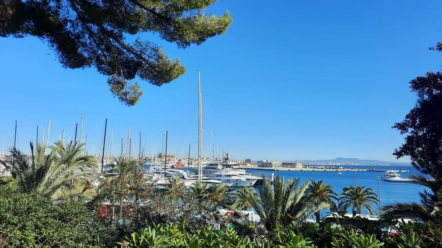 PALMA DE MALLORCA & SOLLER MIT BAHN & STADTFÜHRUNG ab Palma - Should you book it?