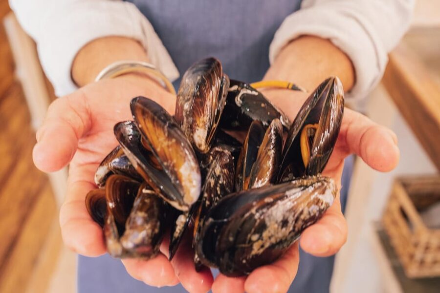 Palma de Mallorca: Spanish Cooking Experience - Who will enjoy this cooking class most?