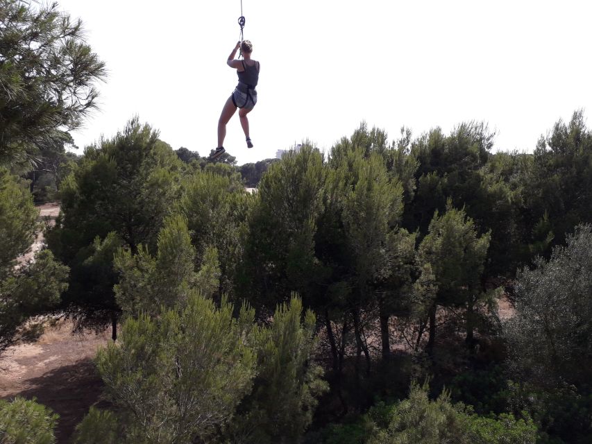 Palma: Family or Sports Course Adventure at Forestal Park - My practical plan for the day