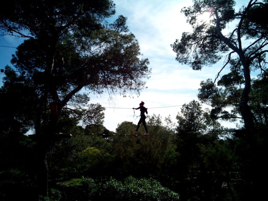 Palma: Family or Sports Course Adventure at Forestal Park - Choosing the Family Course at 1.10 meters