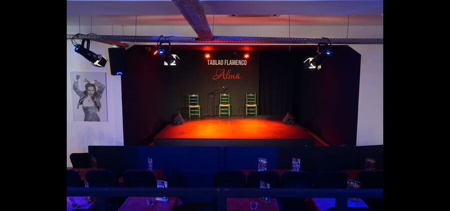 Palma: Flamenco Show at Tablao Flamenco Alma with Drink - Who Will Enjoy This Most?