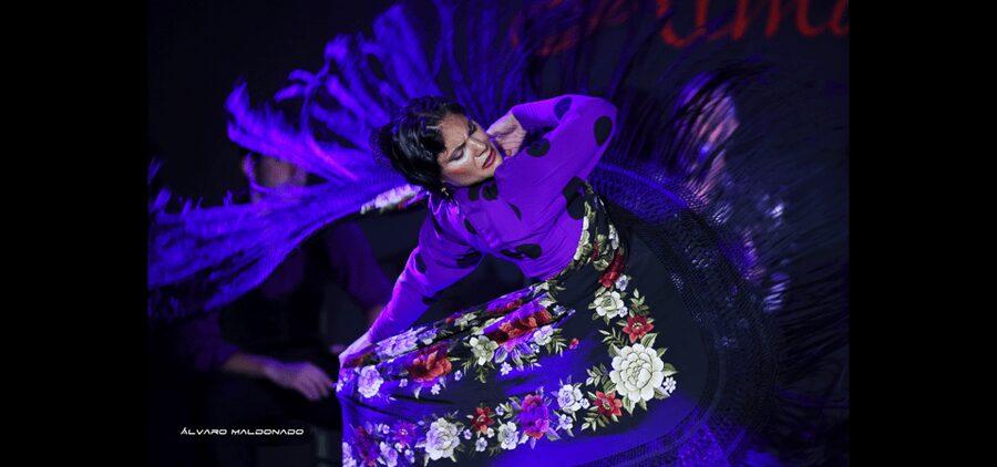 Palma: Flamenco Show at Tablao Flamenco Alma with Drink - Language, Timing, and Booking Flexibility