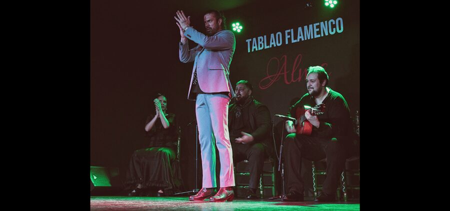 Palma: Flamenco Show at Tablao Flamenco Alma with Drink - Why the Live Guitar Matters