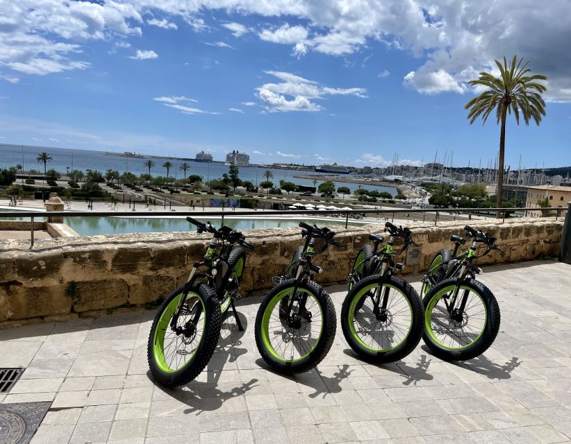 Palma: Guided City Tour with a Fat Tire E-Bike - Pausing at the Cathedral of Light