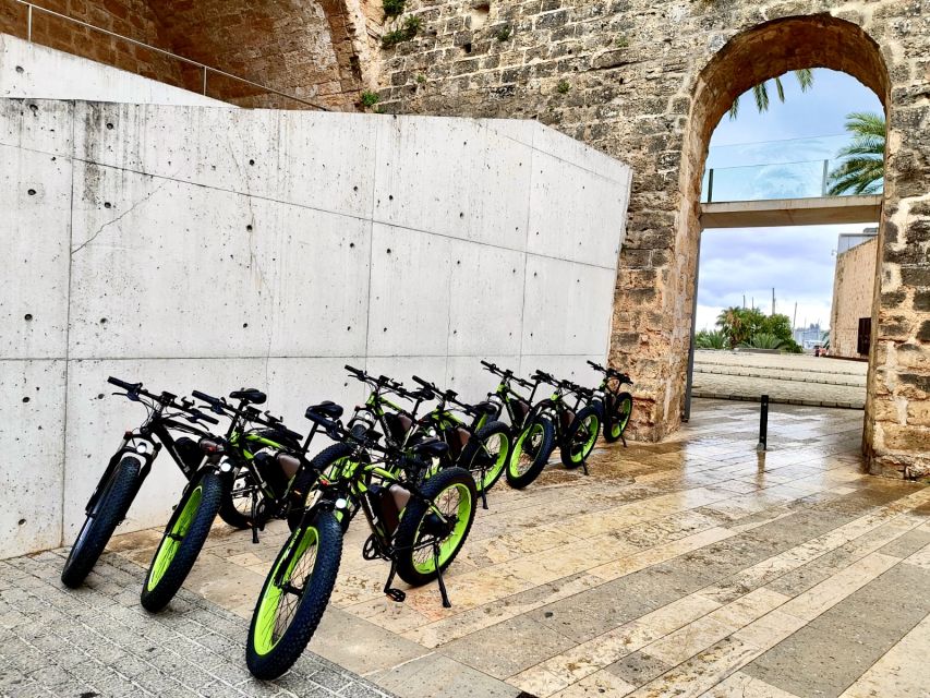 Palma: Guided City Tour with a Fat Tire E-Bike - What the guides add to the ride