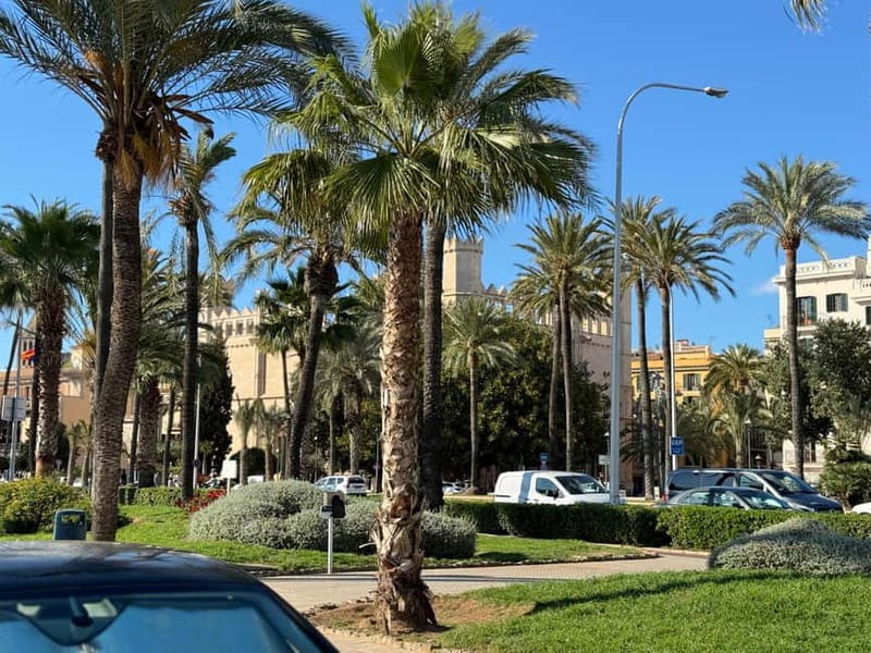 Palma in person and away from the crowds - Who Will Like This Palma Walk