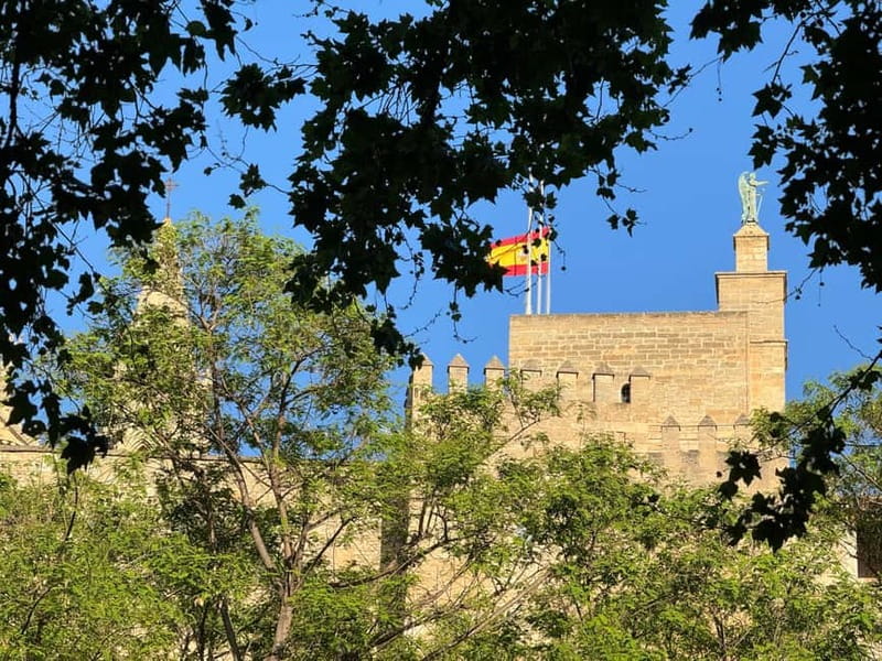 Palma in person and away from the crowds - Practical Details Before You Book