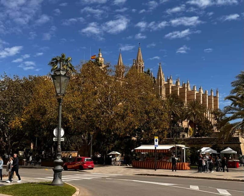Palma Old Town Insider Tour with visit of the Cathedral - Who will enjoy this Palma walk most?