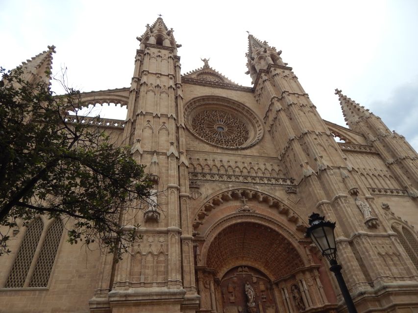 Palma: Old Town Walking Tour & Cathedral Skip-the-Line - From royal Palma to the medieval lanes