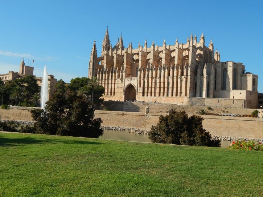 Palma: Old Town Walking Tour & Cathedral Skip-the-Line - Ending at Mercat de l’Olivar
