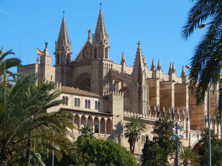 Palma: Old Town Walking Tour & Cathedral Skip-the-Line - Is $50 a fair price?