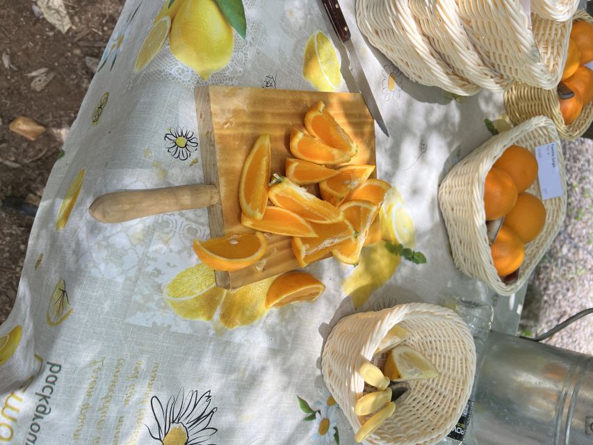 Palma: Orange Farm, Olive Mill, & Winery Tour with Tastings - A picnic built around local food