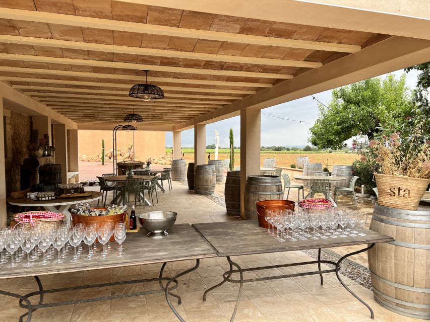 Palma: Orange Farm, Olive Mill, & Winery Tour with Tastings - Is $221 a fair price?
