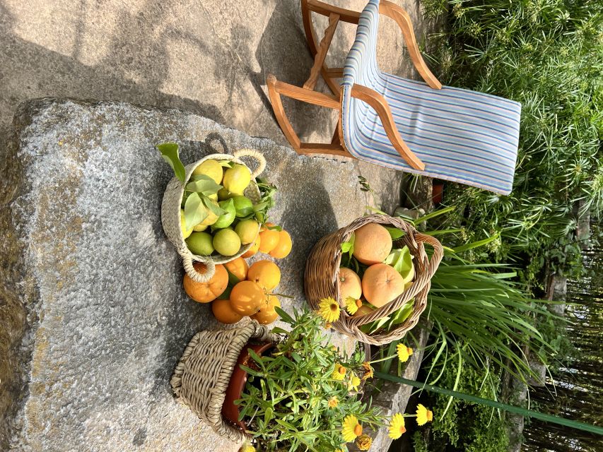 Palma: Orange Farm, Olive Mill, & Winery Tour with Tastings - Orange groves in the Tramuntana Mountains