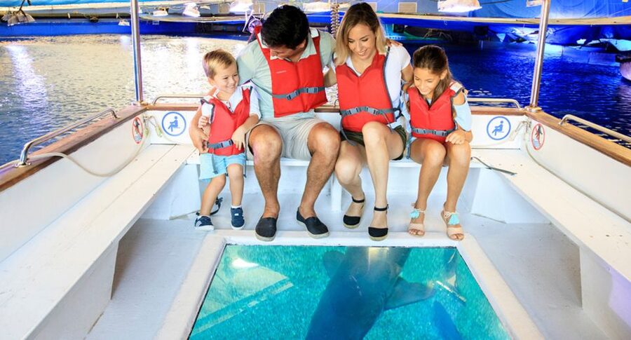 Palma: Palma Aquarium Ticket with Transfer Service - Key points to know before booking