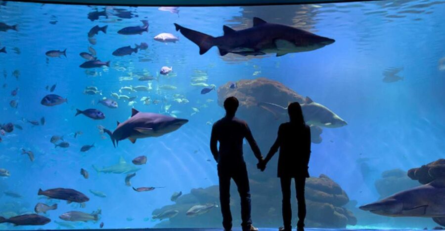 Palma: Palma Aquarium Ticket with Transfer Service - Why Palma Aquarium works well for a Mallorca day out