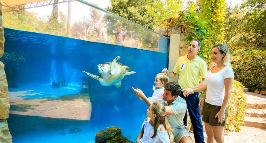 Palma: Palma Aquarium Ticket with Transfer Service - Coral, jellyfish, and the quieter parts of the route
