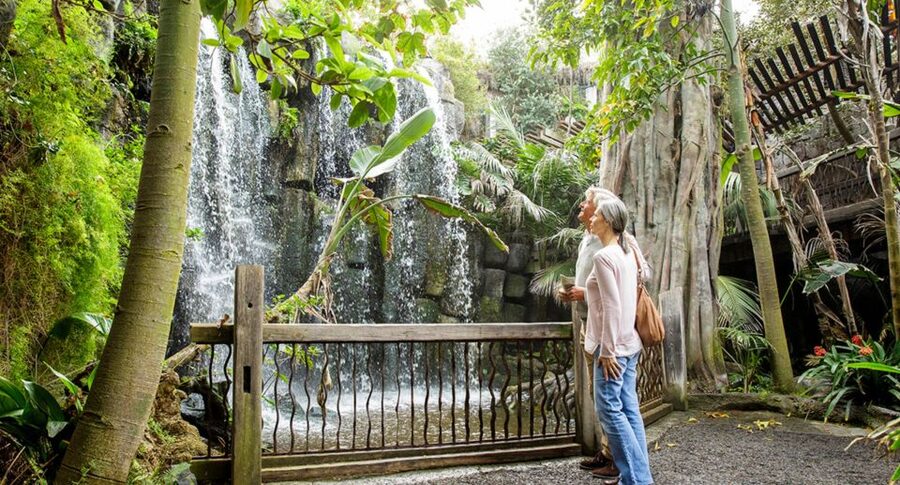Palma: Palma Aquarium Ticket with Transfer Service - Mediterranean, tropical, and jungle habitats