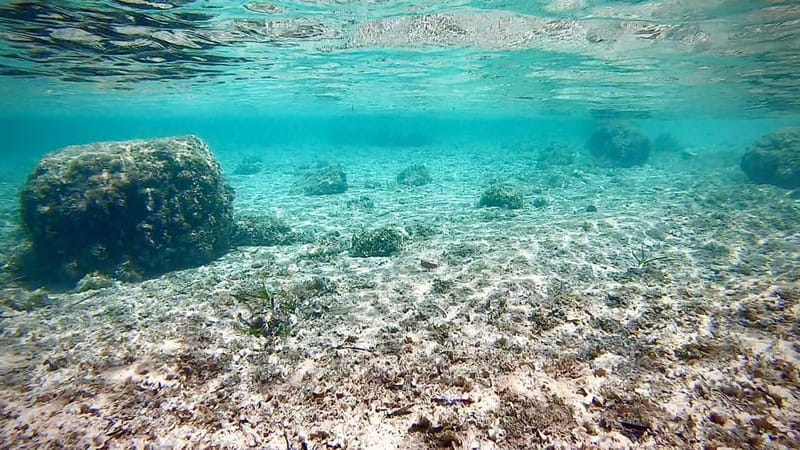 Palma: Private Boat Tour in Mallorca with Snorkel and Paddle - What happens once the boat anchors