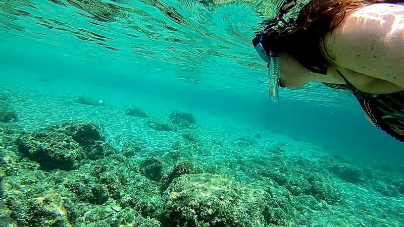 Palma: Private Boat Tour in Mallorca with Snorkel and Paddle - Drinks, food, and the picnic option