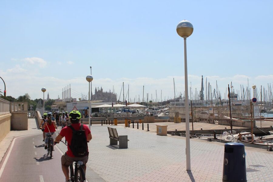 Palma Shore Excursion Bike Tour (Transfer Included) - What the $109 price really covers