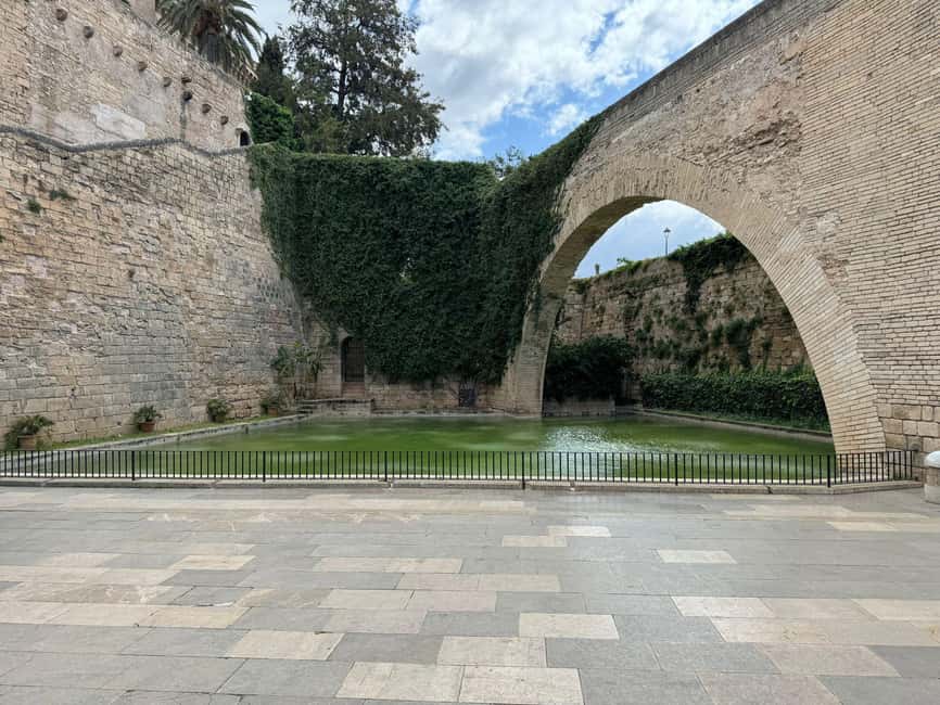 Palma Shore Excursion Bike Tour (Transfer Included) - Starting at the cruise port at 9:30 am