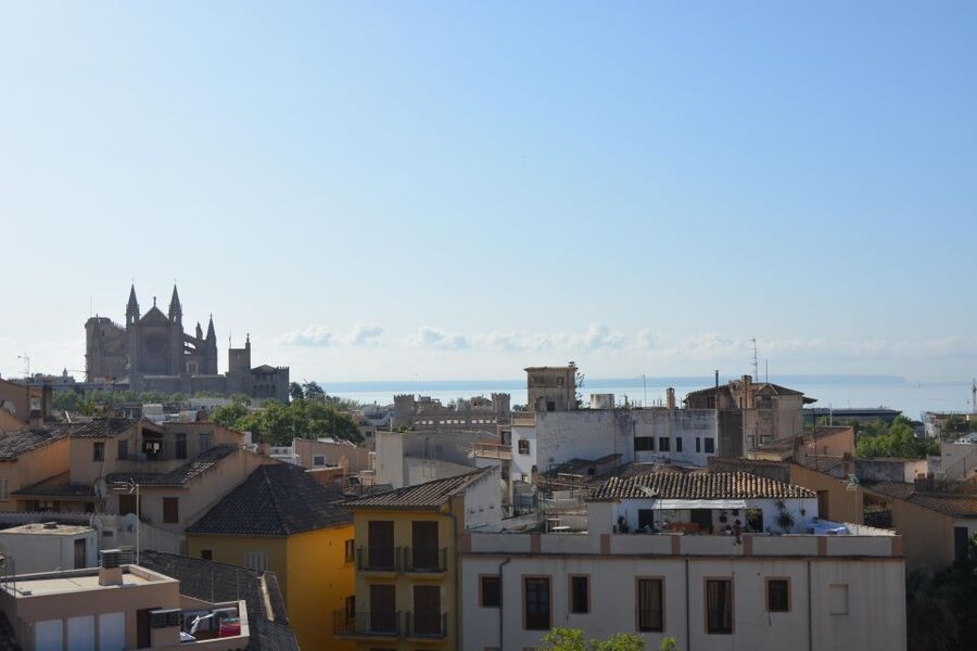 Palma Shore Excursion Bike Tour (Transfer Included) - Lonja de Mallorca and its remarkable columns