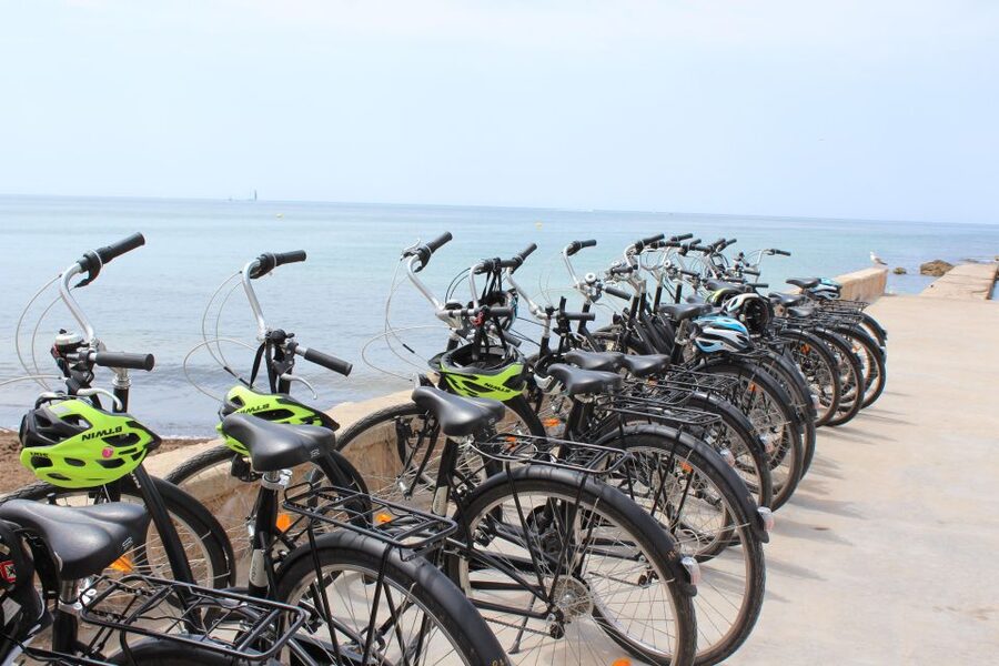 Palma Shore Excursion Bike Tour (Transfer Included) - Parc de la Mar and the bay of Palma