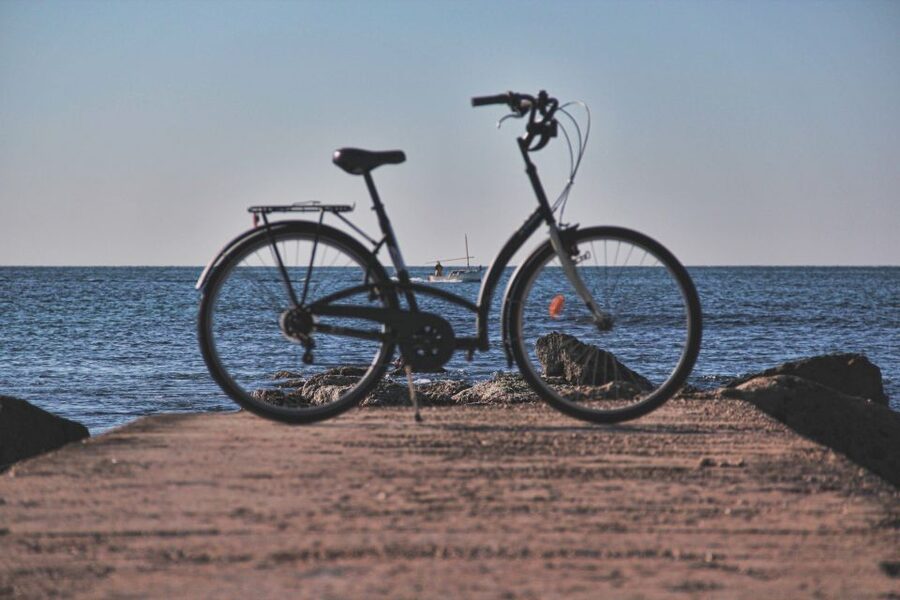 Palma Shore Excursion Bike Tour (Transfer Included) - Santa Eulalia and the Cathedral of Mallorca