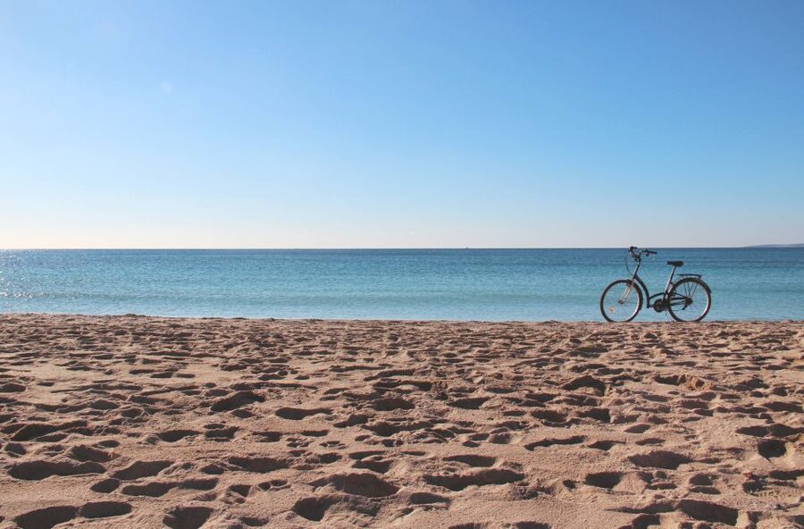 Palma Shore Excursion Bike Tour (Transfer Included) - A one-hour break before the return ride