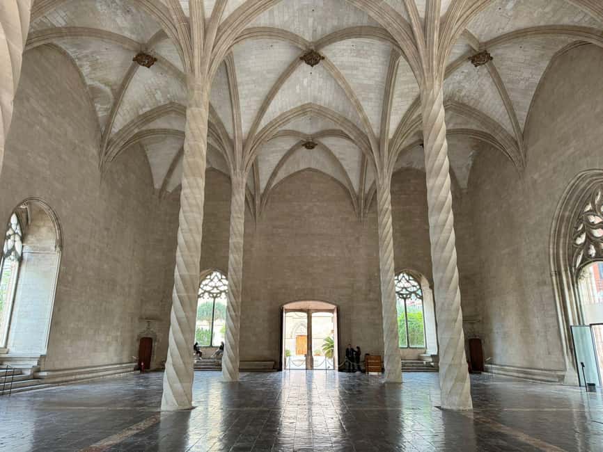 Palma Shore Excursion Bike Tour (Transfer Included) - Plaça del Rosari and Palma’s old-town lanes