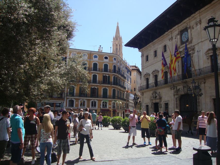 Palma Tour with Wine and Tapas Tasting - Who will enjoy this tour most