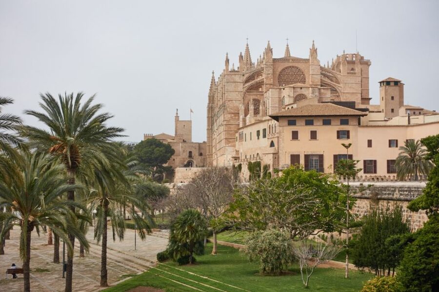 Palma: Walking Tour with Mediterranean Delicacies - Paseo del Borne and the upper city