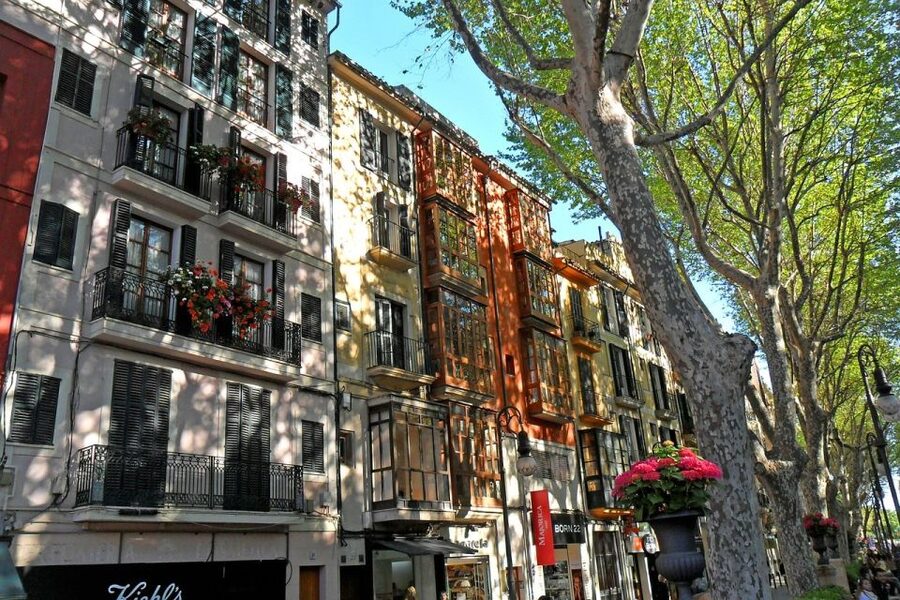 Palma: Walking Tour with Mediterranean Delicacies - Guides who make a difference