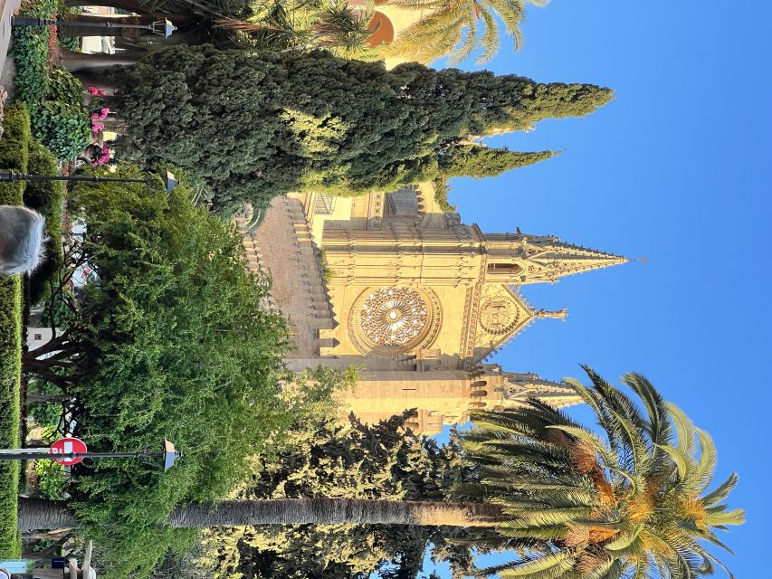 Palmas sightseeing highlights in a private and exclusive way - Key points at a glance