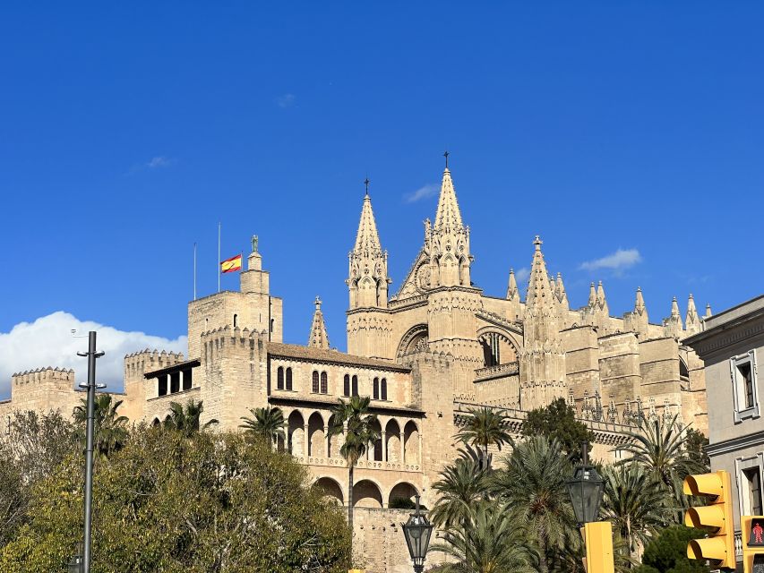 Palmas sightseeing highlights in a private and exclusive way - Starting at the Royal Gardens below Almudaina Palace