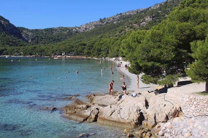 Panoramic Mallorca Boat Trip to Formentor Beach - Price, comfort, and the real value