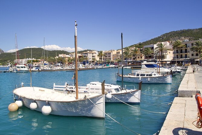 Paradise 4h Catamaran Tour of Mallorca and Puerto Andratx - Who Will Enjoy This Boat Trip Most?