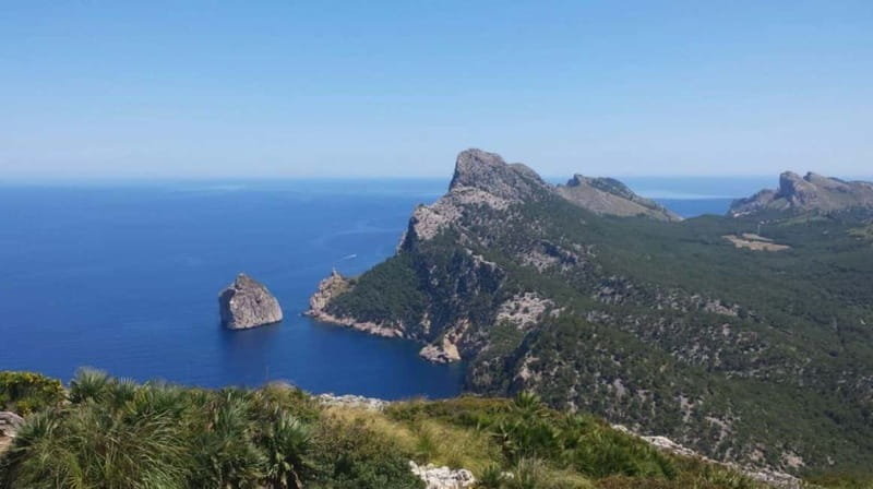 Peguera: Half Day Slingshot Tour - From Palma to the Paseo Maritimo